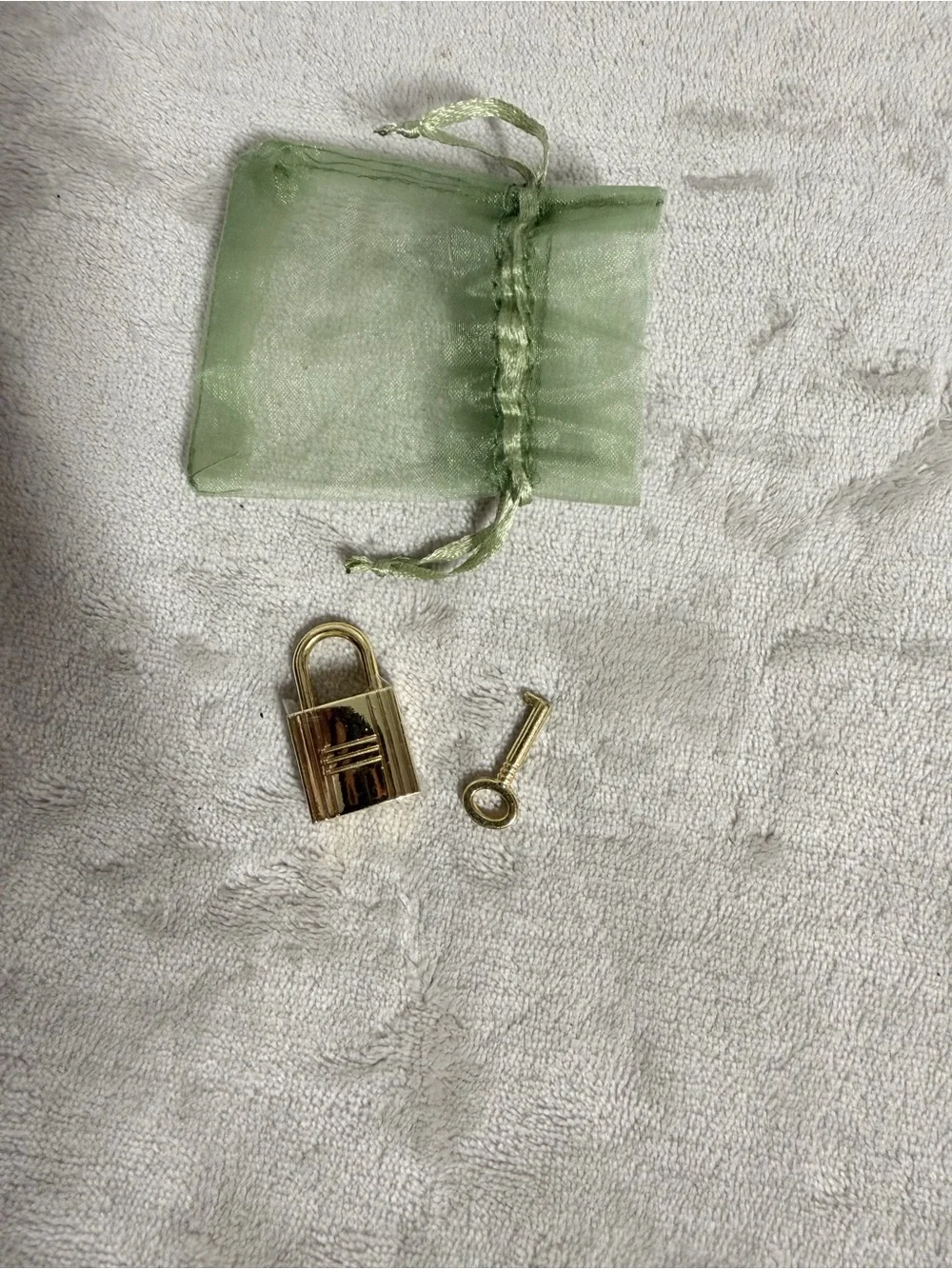 Gold Padlock and Key Set with Light Green Organza Pouch
